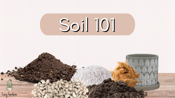 Soil 101